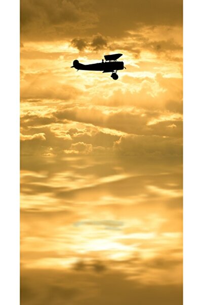 OEM Tablou decorativ, de perete, cu rama din lemn, 33cm x 24cm, imaginea 1561