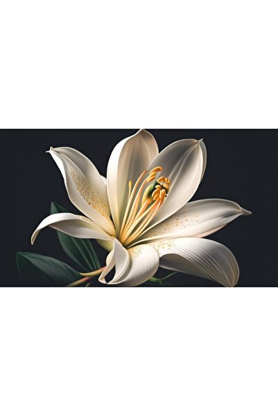 OEM Tablou decorativ, de perete, cu rama din lemn, 33cm x 24cm, imaginea 2435