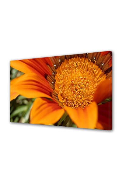 OEM Tablou decorativ, de perete, cu rama din lemn, 33cm x 24cm,cu flori1411