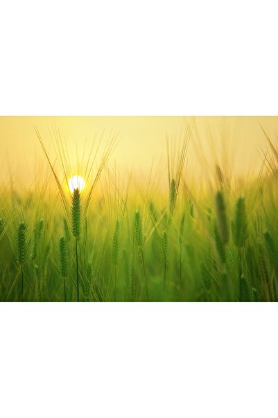 OEM Διακοσμητική ζωγραφική τοίχου με ξύλινο πλαίσιο, 33cm x 24cm, εικόνα 2021