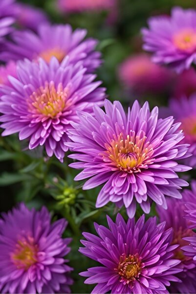 OEM Protectie balcon din plasa PVC, cu inele metalice pentru prindere, 105x70...