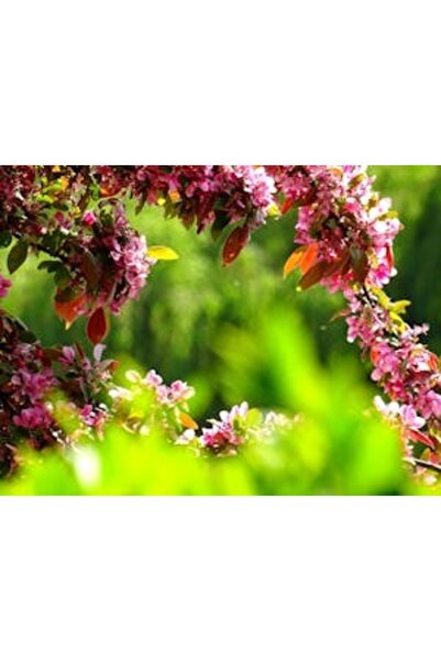 OEM Διακοσμητική επιτοίχια ζωγραφική με ξύλινο πλαίσιο, 33cm x 24cm, εικόνα 2180