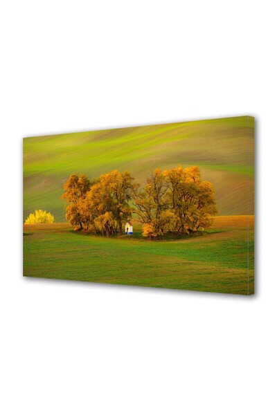 OEM Tablou decorativ, de perete, cu rama din lemn, 33cm x 24cm,cu flori1817