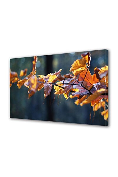 OEM Tablou decorativ, de perete, cu rama din lemn, 33cm x 24cm,cu flori2062