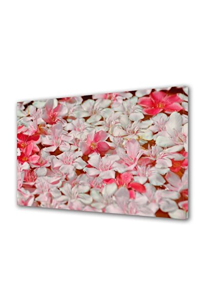 OEM Tablou decorativ, de perete, cu rama din lemn, 33cm x 24cm,cu flori1380