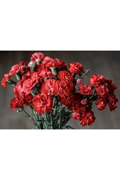 OEM Διακοσμητική επιτοίχια ζωγραφική με ξύλινο πλαίσιο, 33cm x 24cm, εικόνα 2176