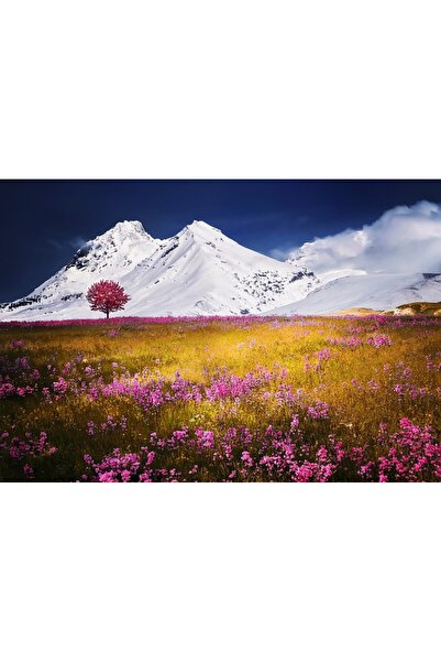 OEM Διακοσμητική τοιχογραφία με ξύλινο πλαίσιο, 33εκ. x 24εκ., εικόνα 1965