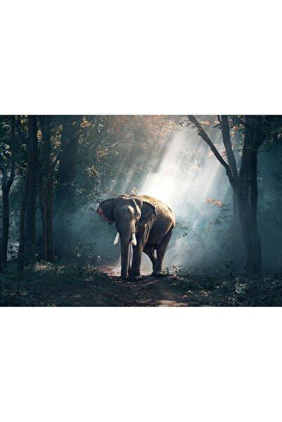 OEM Διακοσμητική επιτοίχια ζωγραφική με ξύλινο πλαίσιο, 33cm x 24cm, εικόνα 2027