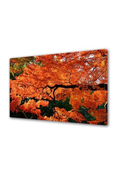 OEM Set gantere reglabile 20kg (2x10kg) din compozit