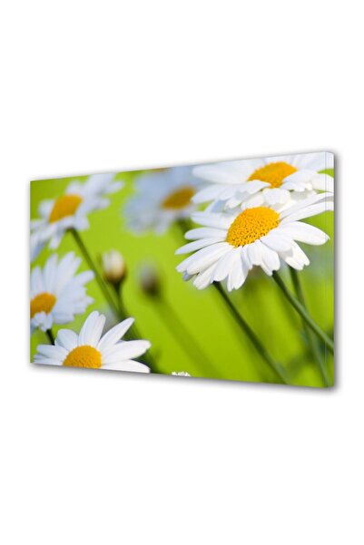OEM Tablou decorativ, de perete, cu rama din lemn, 33cm x 24cm,cu flori1528