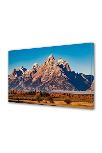 OEM Tablou decorativ, de perete, cu rama din lemn, 33cm x 24cm,cu flori1868