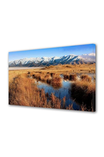 OEM Tablou decorativ, de perete, cu rama din lemn, 33cm x 24cm,cu flori2020