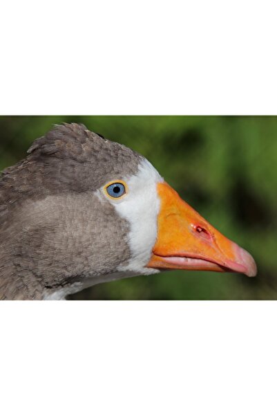 OEM Τραπέζι κουζίνας VASAGLE 4 θέσεων, μεταλλικός σκελετός, βιομηχανικού στιλ...