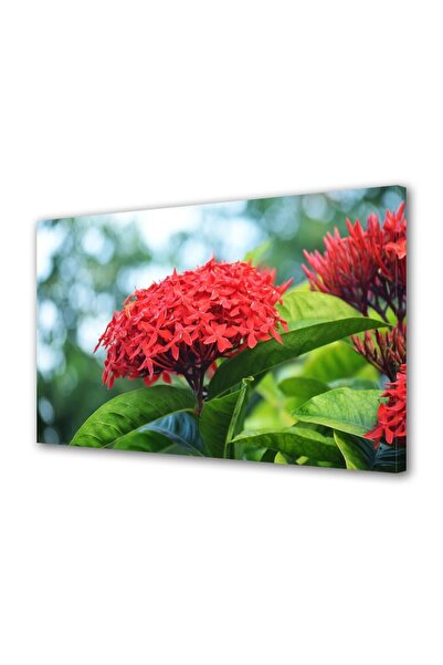 OEM Tablou decorativ, de perete, cu rama din lemn, 33cm x 24cm,cu flori1556