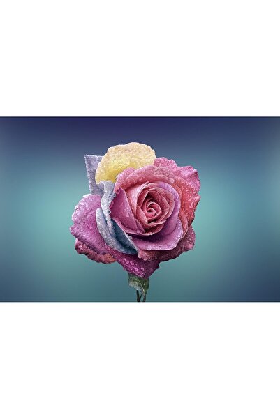 OEM Tablou decorativ, de perete, cu rama din lemn, 33cm x 24cm, imaginea 1961