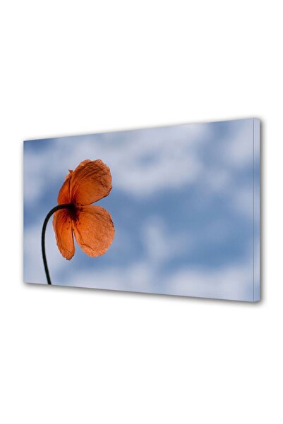 OEM Tablou decorativ, de perete, cu rama din lemn, 33cm x 24cm,cu flori2043