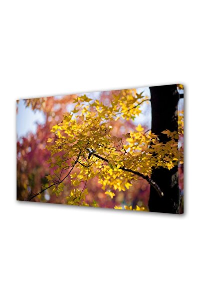OEM Decorative wall painting with wooden frame, 33cm x 24cm, with flowers1865