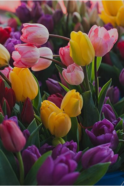 OEM Διακοσμητική επιτοίχια ζωγραφική με ξύλινο πλαίσιο, 33cm x 24cm, εικόνα 1705