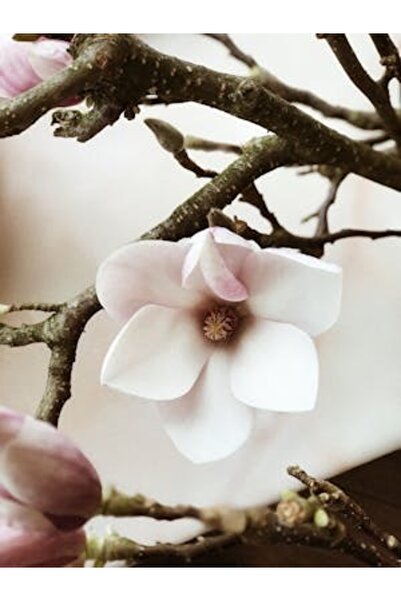 OEM Διακοσμητική επιτοίχια ζωγραφική με ξύλινο πλαίσιο, 33cm x 24cm, εικόνα 2146