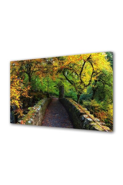 Alista Home Decorative wall painting with wooden frame, 33cm x 24cm, with flowers2204