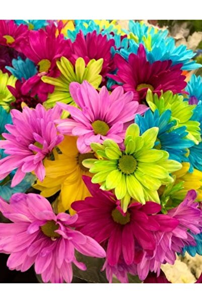 OEM Διακοσμητική επιτοίχια ζωγραφική με ξύλινο πλαίσιο, 33cm x 24cm, εικόνα 2070