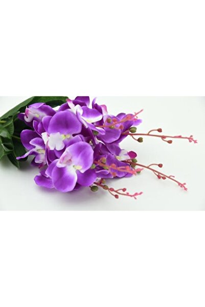 OEM Tablou decorativ, de perete, cu rama din lemn, 33cm x 24cm, imaginea 2289