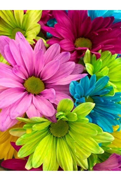 OEM Tablou decorativ, de perete, cu rama din lemn, 33cm x 24cm, imaginea 2339