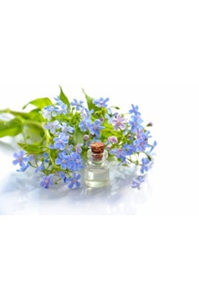 OEM Διακοσμητική επιτοίχια ζωγραφική με ξύλινο πλαίσιο, 33cm x 24cm, εικόνα 2293