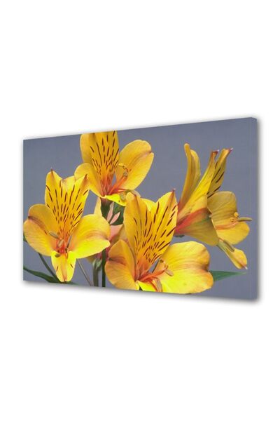 OEM Διακοσμητική επιτοίχια ζωγραφική με ξύλινο πλαίσιο, 33cm x 24cm, με λουλο...