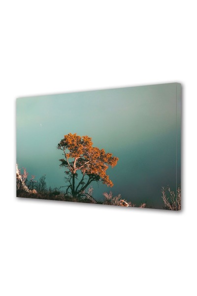 Alista Home Decorative wall painting with wooden frame, 33cm x 24cm, with flowers2085