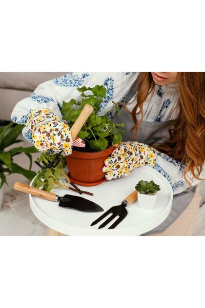 OEM Tablou decorativ, de perete, cu rama din lemn, 33cm x 24cm, imaginea 2452