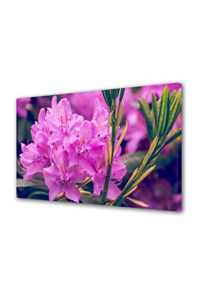 OEM Tablou decorativ, de perete, cu rama din lemn, 33cm x 24cm,cu flori1492