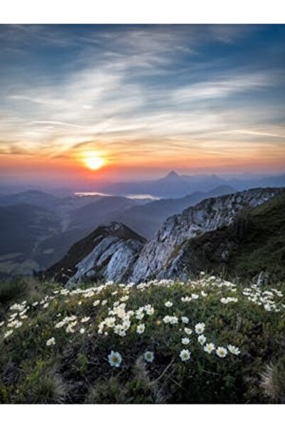 OEM Tablou decorativ, de perete, cu rama din lemn, 33cm x 24cm, imaginea 2131