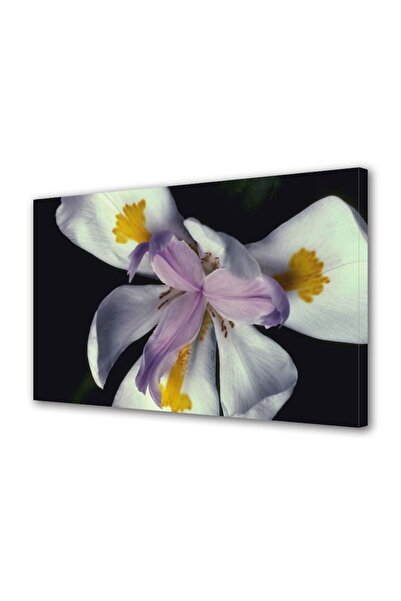 OEM Tablou decorativ, de perete, cu rama din lemn, 33cm x 24cm,cu flori1481