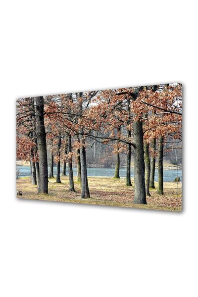 OEM VASAGLE Raft de colt plutitor pe 5 niveluri, din lemn, 20x20x128cm, alb