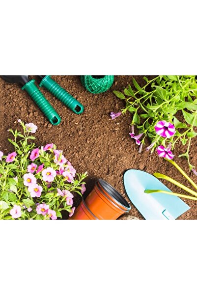 OEM Διακοσμητική επιτοίχια ζωγραφική με ξύλινο πλαίσιο, 33cm x 24cm, εικόνα 2596