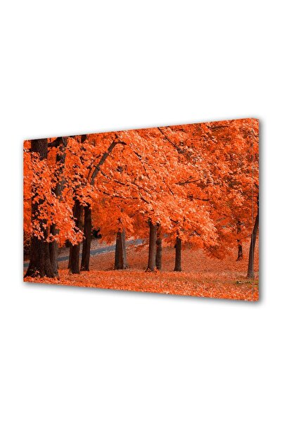 OEM Tablou decorativ, de perete, cu rama din lemn, 33cm x 24cm,cu flori1773