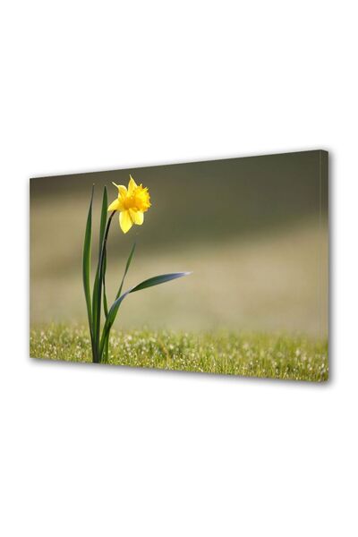 OEM Tablou decorativ, de perete, cu rama din lemn, 33cm x 24cm,cu flori1320