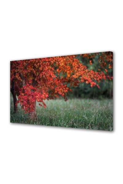 OEM Tablou decorativ, de perete, cu rama din lemn, 33cm x 24cm,cu flori1869