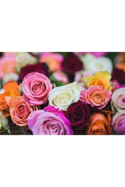 OEM Διακοσμητική επιτοίχια ζωγραφική με ξύλινο πλαίσιο, 33cm x 24cm, εικόνα 2123