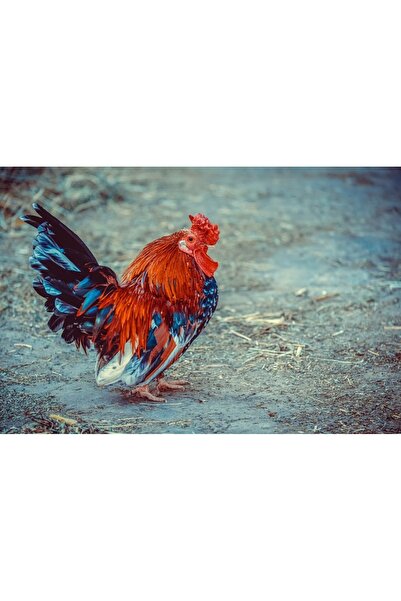 OEM Tablou decorativ, de perete, cu rama din lemn, 33cm x 24cm, cu animal257