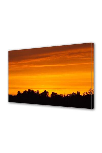 OEM Tablou decorativ, de perete, cu rama din lemn, 33cm x 24cm,cu flori2184