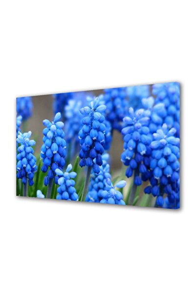 OEM Tablou decorativ, de perete, cu rama din lemn, 33cm x 24cm,cu flori1361