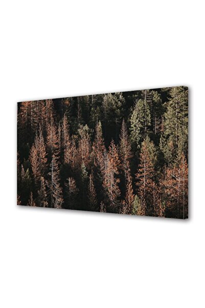 Alista Home Decorative wall painting with wooden frame, 33cm x 24cm, with flowers 1964