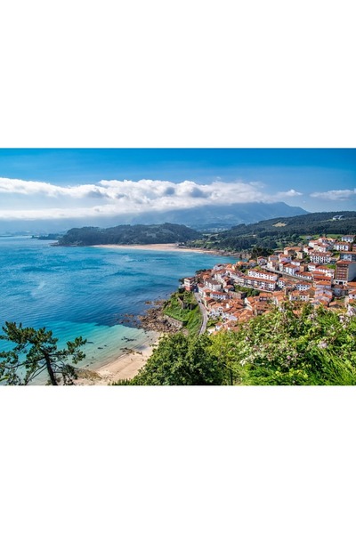 OEM Tablou decorativ, de perete, cu rama din lemn, 33cm x 24cm, imaginea 1747