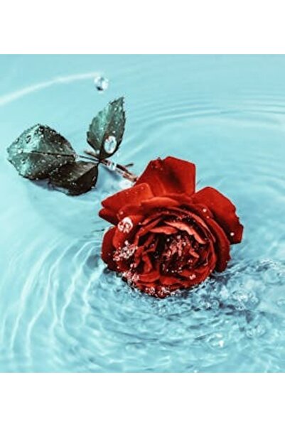 OEM Tablou decorativ, de perete, cu rama din lemn, 33cm x 24cm, imaginea 2343