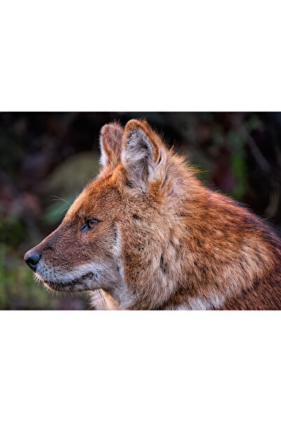 OEM Pantofi plaja si apa, talpa cauciuc antiderapanta, material respirabil, a...