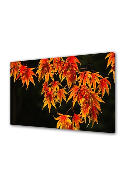 OEM Διακοσμητική επιτοίχια ζωγραφική με ξύλινο πλαίσιο, 33cm x 24cm, με λουλο...