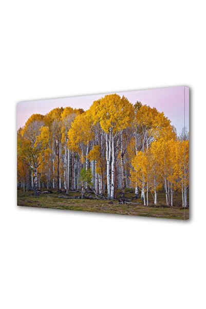 OEM Tablou decorativ, de perete, cu rama din lemn, 33cm x 24cm,cu flori2120