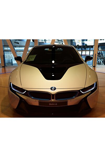 OEM Tablou decorativ, de perete, cu rama din lemn, 33cm x 24cm, masina5560